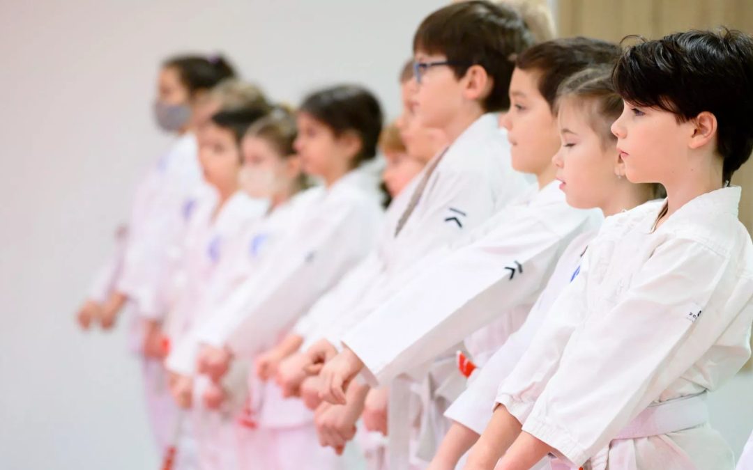 Megnyílik a Microcosmic Gym & Dojo az Újbuda Centerben!